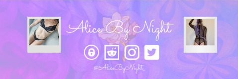 Header of alicebynight