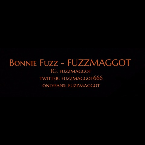 Header of fuzzmaggot