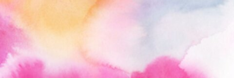 Header of holliecakes