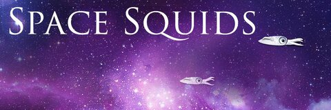 Header of nova_squid