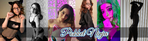 Header of pokket-ninja