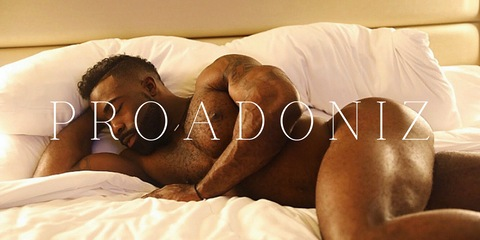 Header of proadonis