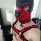 pup_scout Profile Picture
