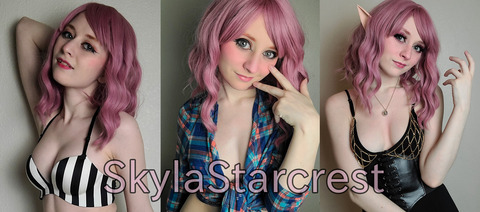 Header of skylastarcrests