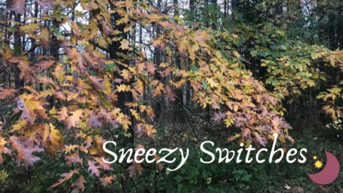 Header of sneezyswitches